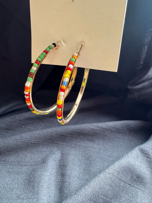 MULTI COLOUR CLIO HOOP BY WISH -  The Style Society Boutique 